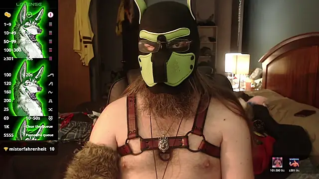 kinkywolf429 online show from July 2026 03:47:01 PM