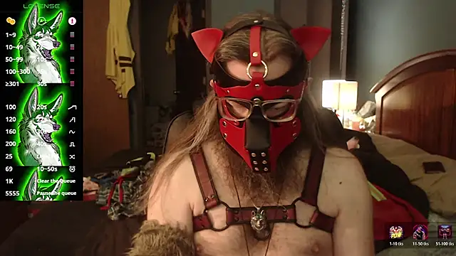 kinkywolf429 online show from July 2026 03:48:02 PM