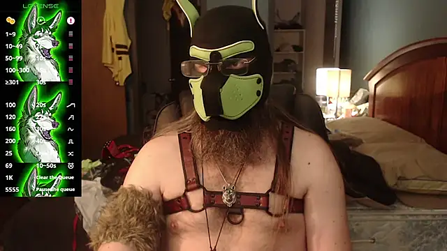 kinkywolf429 online show from July 2026 10:31:01 PM