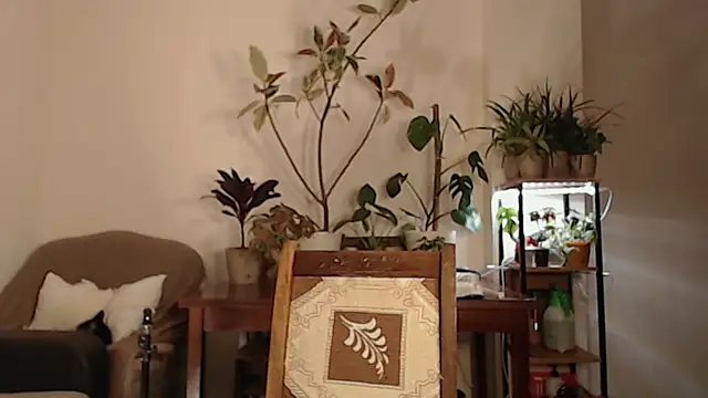 Snapshot of Herman_Elfi chatting on March 2025 11:16:01 PM Herman Elfi online show from March 2025 11:16:01 PM