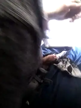 Wero4200 online show from February 2026 10:36:02 PM