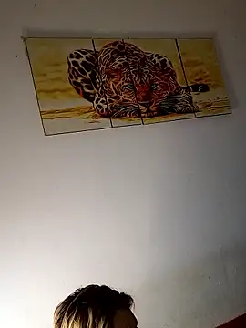 shaynarg online show from March 2026 08:29:01 AM