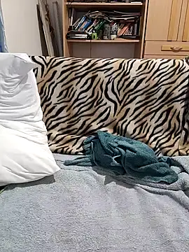 peti 19 online show from January 2025 04:55:02 PM