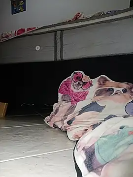 Snapshot of Van3orgasm4me chatting on February 2026 07:04:01 AM Van3orgasm4me online show from February 2026 07:04:01 AM