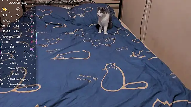 eva zero online show from March 2026 01:49:01 PM