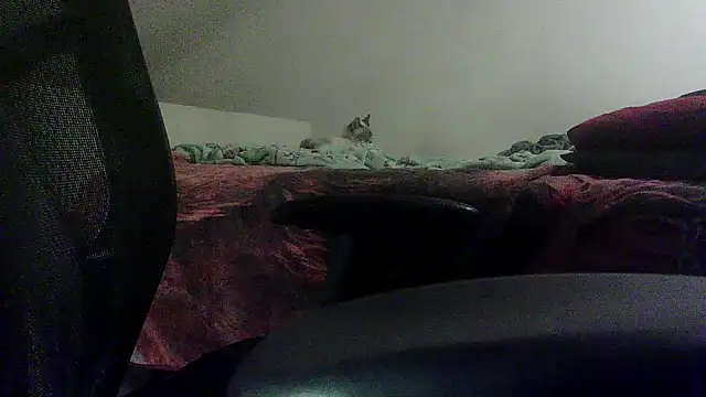 Snapshot of OralDesires2 chatting on February 2025 11:46:02 PM OralDesires2 online show from February 2025 11:46:02 PM