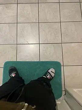 Snapshot of dingoding chatting on February 2025 02:30:01 AM dingoding online show from February 2025 02:30:01 AM