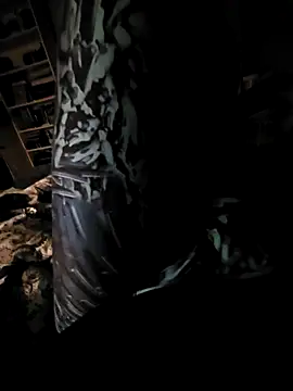 feathersify online show from April 2026 04:17:01 AM