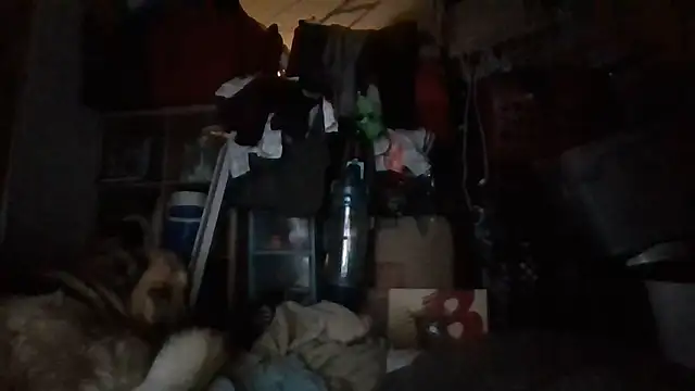 Snapshot of brandonontop chatting on February 2026 03:00:02 AM brandonontop online show from February 2026 03:00:02 AM