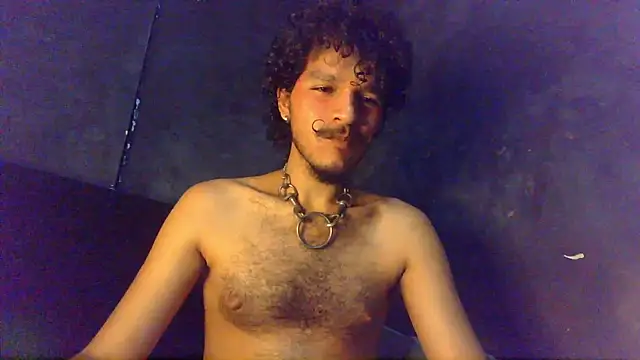 die mond online show from May 2026 06:51:02 AM