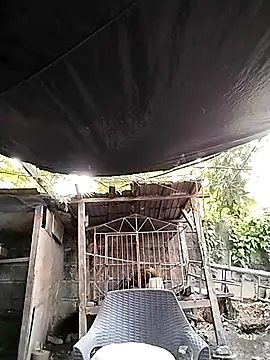 Snapshot of MS_Isabella_Snow92 chatting on February 2025 10:42:02 PM MS Isabella Snow92 online show from February 2025 10:42:02 PM