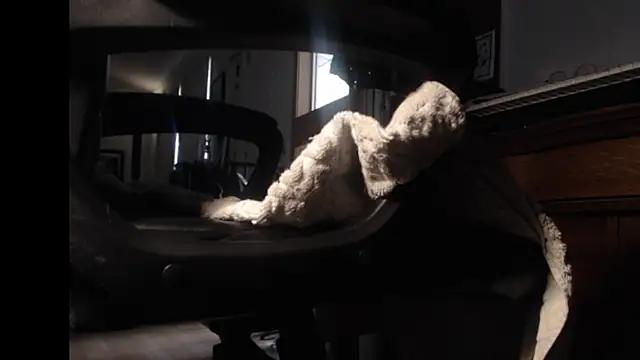 Snapshot of mybigfathead chatting on September 2025 06:53:02 PM mybigfathead online show from September 2025 06:53:02 PM