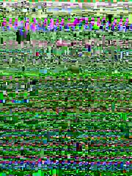 Wolfeman74 online show from July 2026 06:54:01 PM