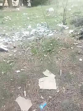 K-27 online show from January 2025 03:46:02 PM