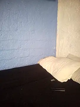 Snapshot of fablob23 chatting on January 2025 07:29:02 PM fablob23 online show from January 2025 07:29:02 PM