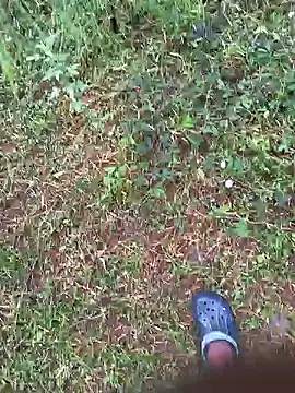 Snapshot of Gopal1243 chatting on October 2025 01:31:01 AM Gopal1243 online show from October 2025 01:31:01 AM