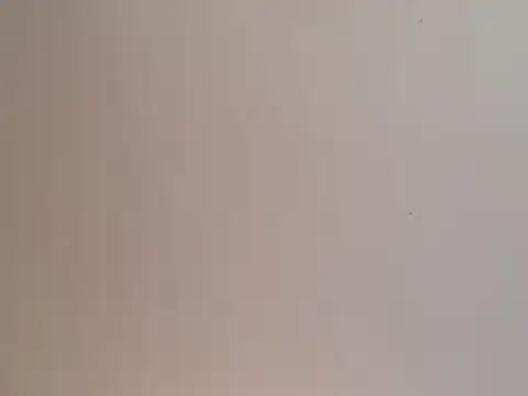 highstepper500 online show from December 2024 02:02:02 PM