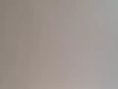 highstepper500 online show from December 2024 05:05:01 PM