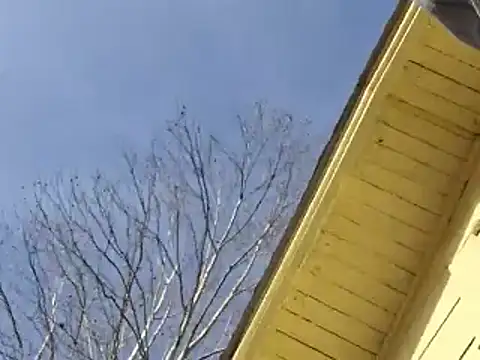 highstepper500 online show from December 2024 02:12:01 AM