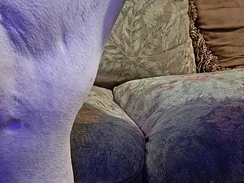 Snapshot of highstepper500 chatting on February 2026 10:49:01 AM highstepper500 online show from February 2026 10:49:01 AM