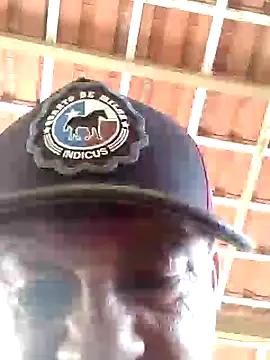 Snapshot of Peludo173317 chatting on February 2025 01:40:01 PM Peludo173317 online show from February 2025 01:40:01 PM