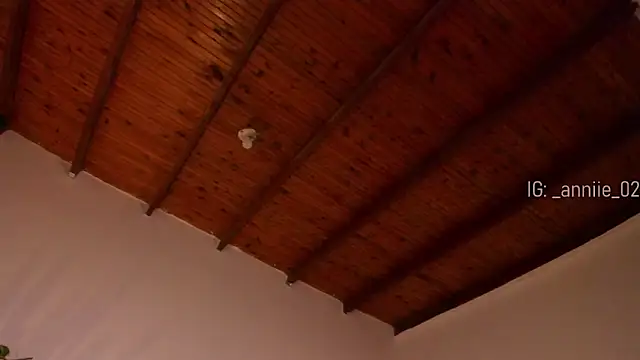 annie barozzi online show from January 2025 04:37:02 PM