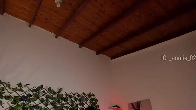 annie barozzi online show from January 2025 01:32:02 PM