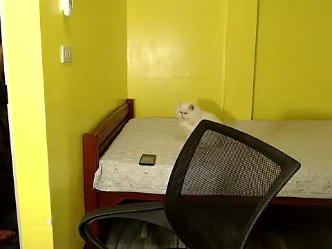 xx goddessofallgodess xx online show from October 2025 02:51:02 AM