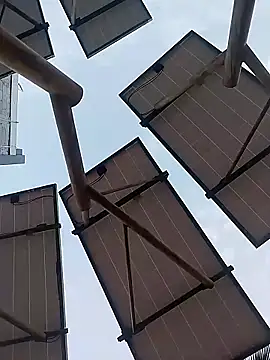 sagrado 1989 online show from January 2026 12:37:01 AM