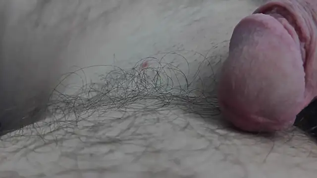 Snapshot of Fist-my-ass chatting on November 2025 08:03:02 AM Fist-my-ass online show from November 2025 08:03:02 AM