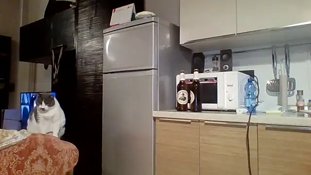 woww791 online show from October 2025 05:43:01 PM