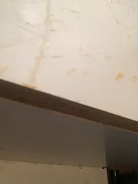 foxiks online show from April 2026 11:37:01 AM