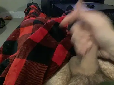 northcock87 online show from January 2025 01:34:02 AM