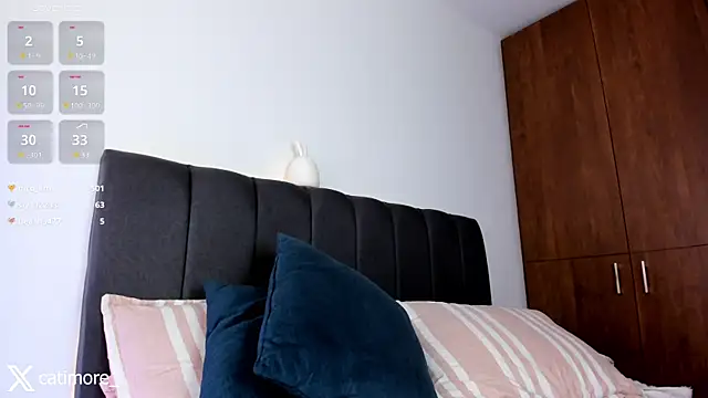 Snapshot of catimore chatting on January 2025 05:35:01 PM catimore online show from January 2025 05:35:01 PM