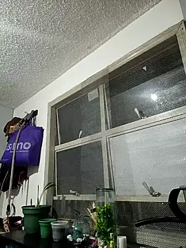 Snapshot of francesca_baker1007 chatting on March 2025 12:05:01 AM francesca baker1007 online show from March 2025 12:05:01 AM