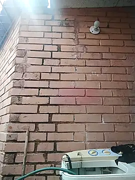 Snapshot of valeriaswang_Lucas chatting on December 2025 03:43:02 PM valeriaswang Lucas online show from December 2025 03:43:02 PM