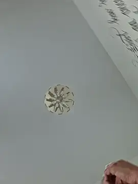 cuci45 online show from October 2025 02:25:02 PM