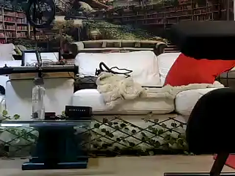 OSIRlS online show from January 2025 01:30:01 PM