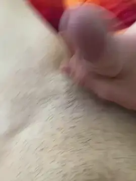 Pascutt online show from February 2026 02:49:01 PM