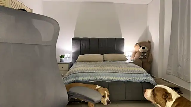 Snapshot of nurbanu_hatem chatting on February 2026 08:43:01 AM nurbanu hatem online show from February 2026 08:43:01 AM