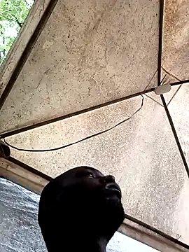 Snapshot of HARLEXBIGCOCK chatting on December 2024 06:38:02 PM HARLEXBIGCOCK online show from December 2024 06:38:02 PM