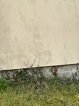 TalullaX online show from March 2025 02:46:02 PM