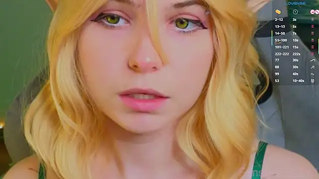 zelda 1 online show from June 2026 06:11:01 PM