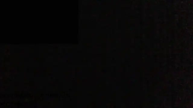 masculine bear daddy online show from February 2025 10:45:01 AM