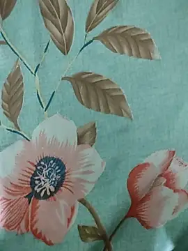 rodhathor online show from April 2026 07:34:02 PM