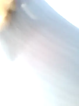 mustican422 online show from February 2025 10:04:02 AM