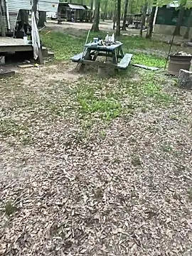 Snapshot of Themechanic420 chatting on April 2026 02:58:02 PM Themechanic420 online show from April 2026 02:58:02 PM