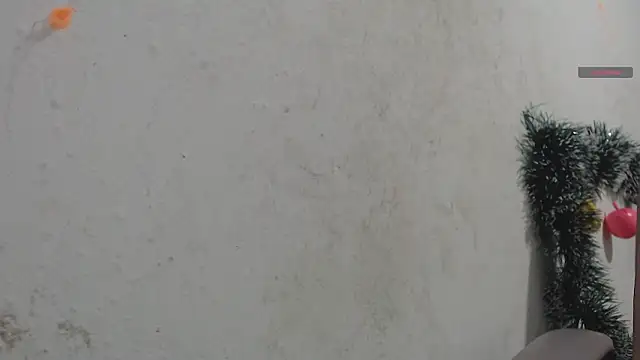 toxxxic cams online show from January 2026 04:59:01 AM