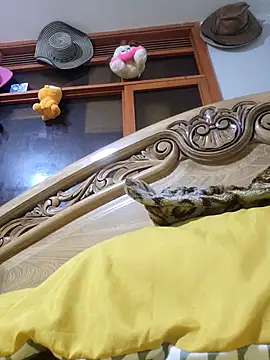 Snapshot of SeductionSilera chatting on March 2026 03:11:01 PM SeductionSilera online show from March 2026 03:11:01 PM