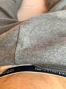 Snapshot of Fellix chatting on January 2025 11:49:02 AM Fellix online show from January 2025 11:49:02 AM